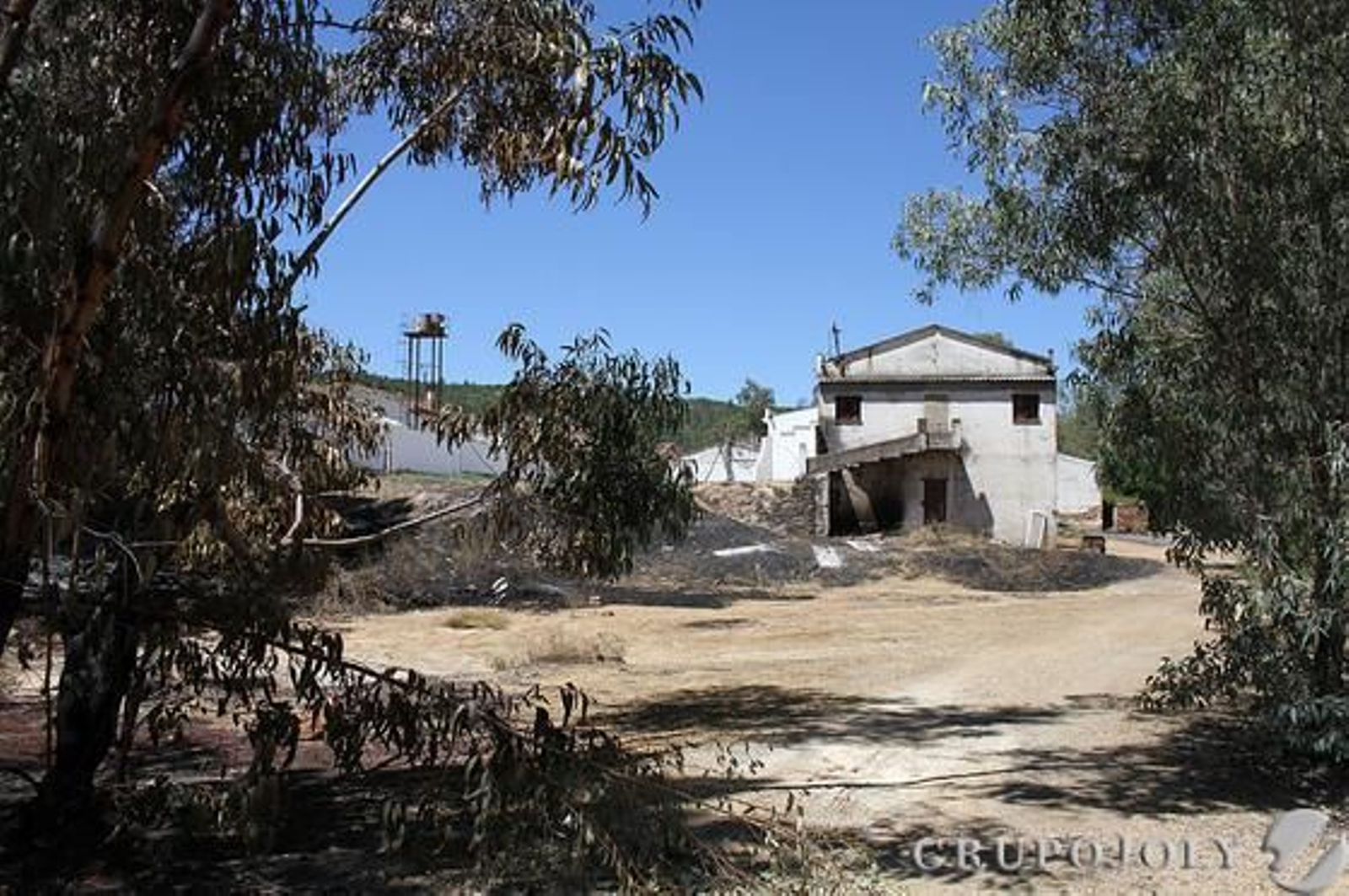 Foto: Alberto Domínguez