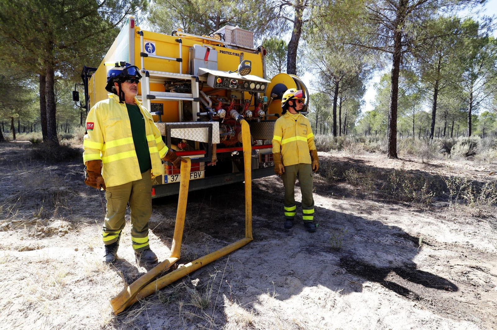 Imágenes de las zonas afectadas por los incendios de Almonte y Bonares