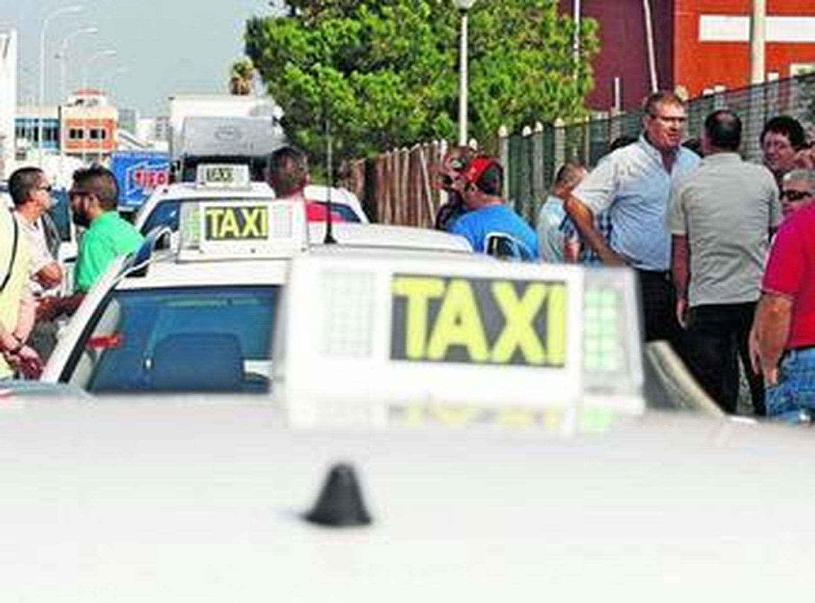 Imagen de varios taxistas en la capital gaditana.