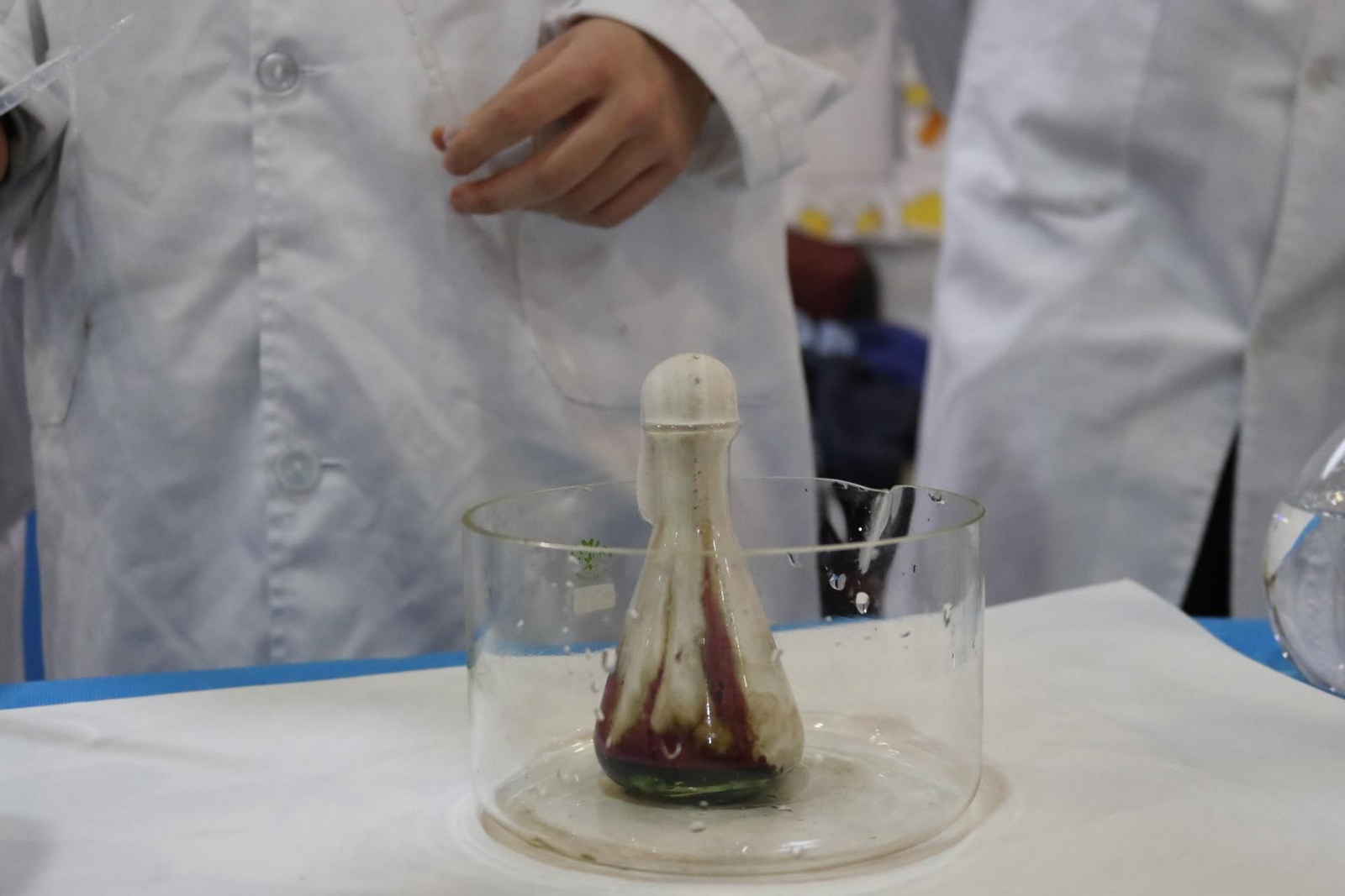 Feria de Ciclos Formativos de La Línea