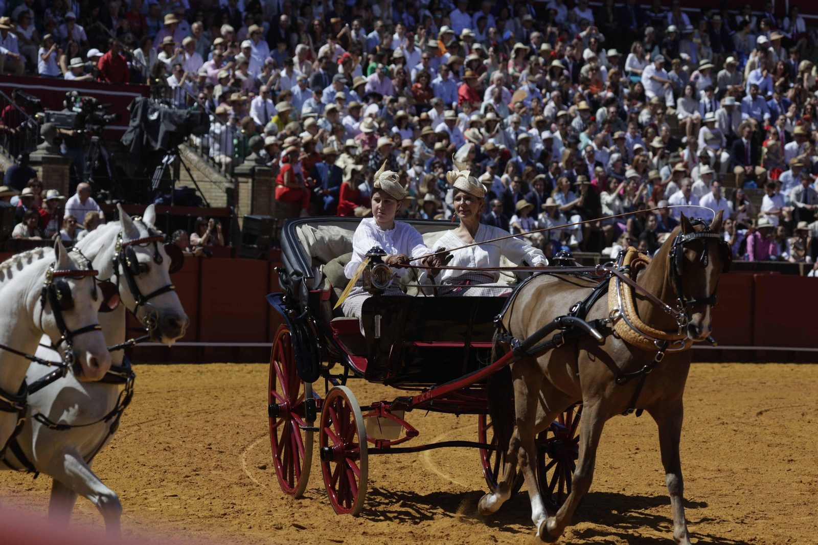 Las imágenes de la exhibición  de enganches en la Maestranza