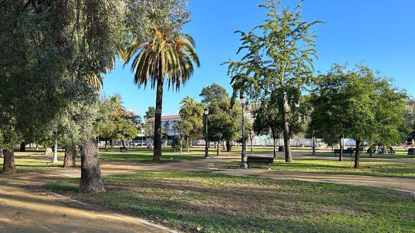 Arboleda de El Retiro y un colegio al fondo.