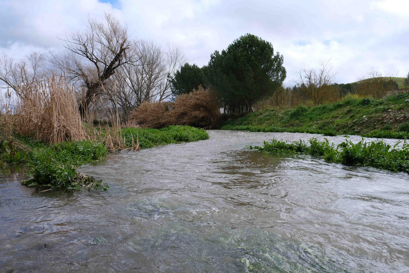 Transformación del paisaje por la lluvia, en fotos