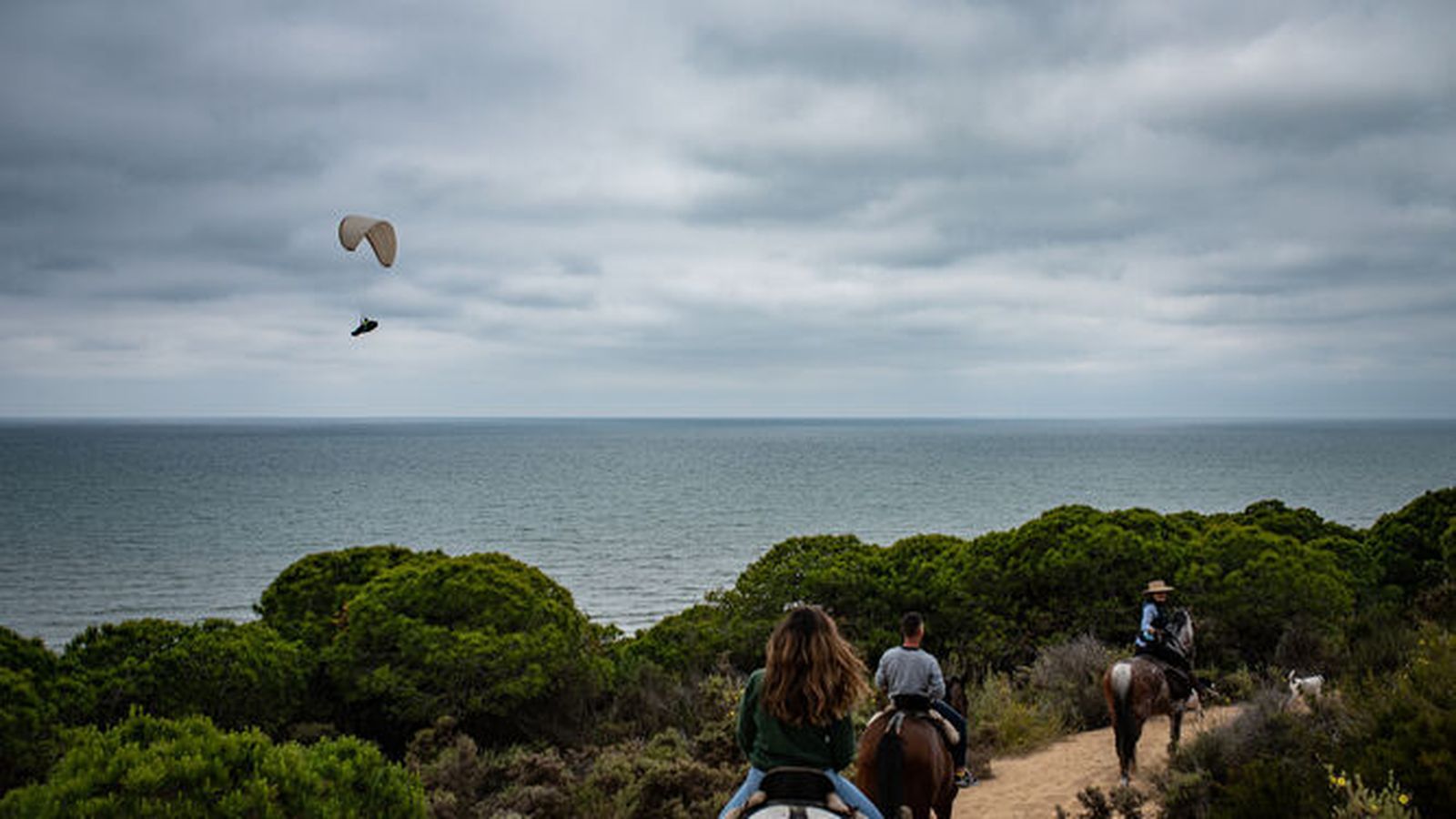 La mejor ruta a caballo con las mejores vistas de Doñana
