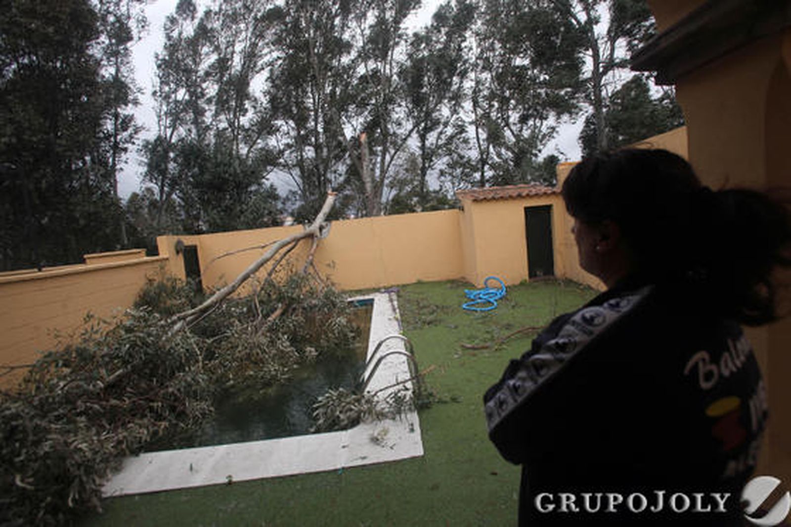 Foto: Andres Carrasco