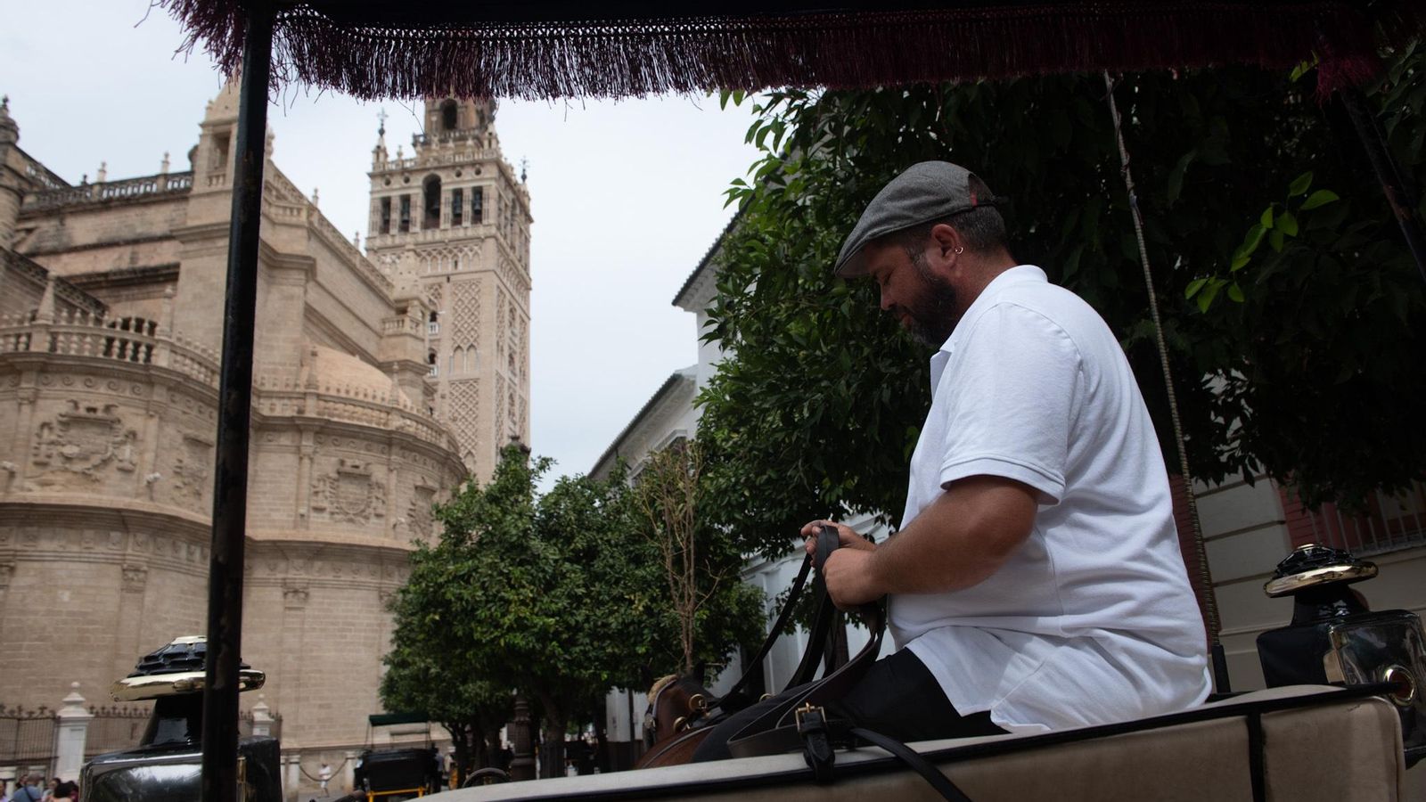 Cochero en la Plaza del Triunfo, una de las nueve paradas oficiales del gremio.