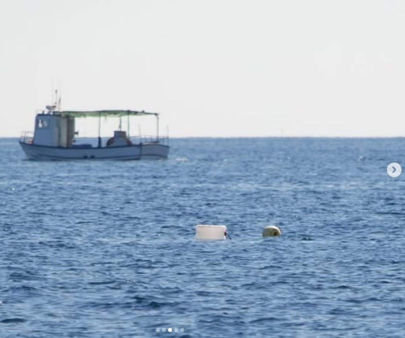 Navegando en el Poniente de Almería: del espectáculo de los delfines a los plásticos y petacas en el mar