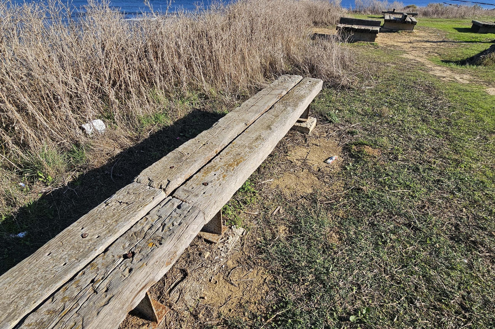 Fotografías del estado del Parque del Centenario de Algeciras
