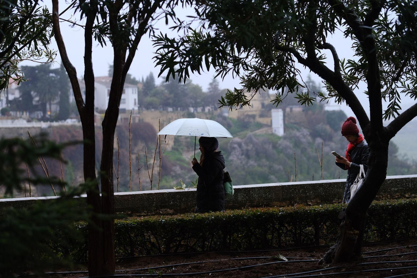 Las imágenes de la lluvia de la borrasca Karlotta en Ronda Las imágenes de la lluvia de la borrasca Karlotta en Ronda