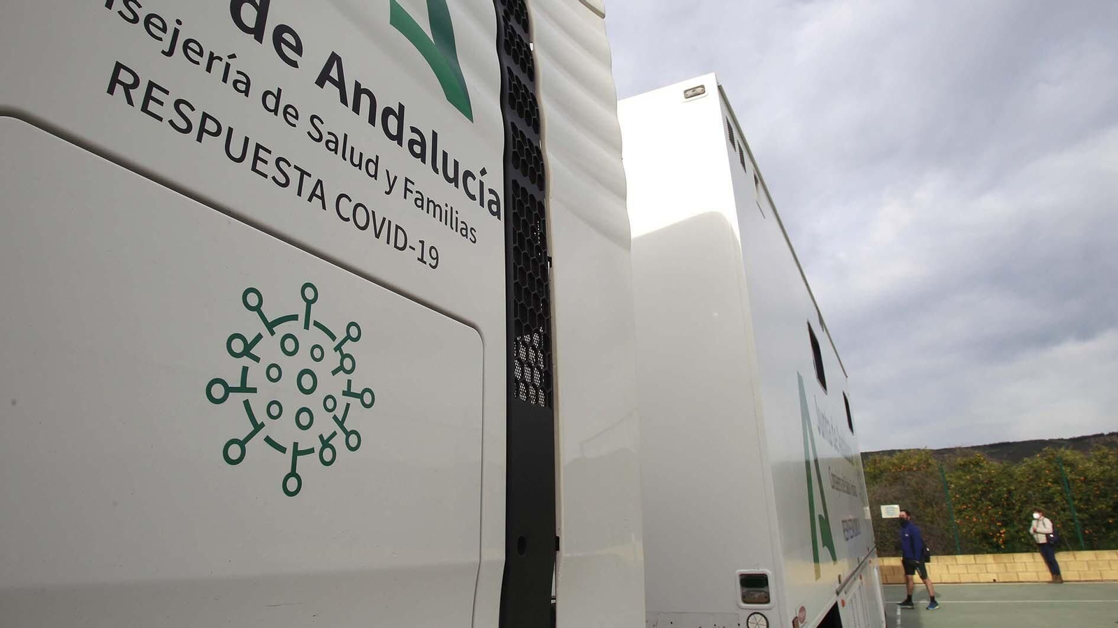 Cribado masivo en San Martín del Tesorillo