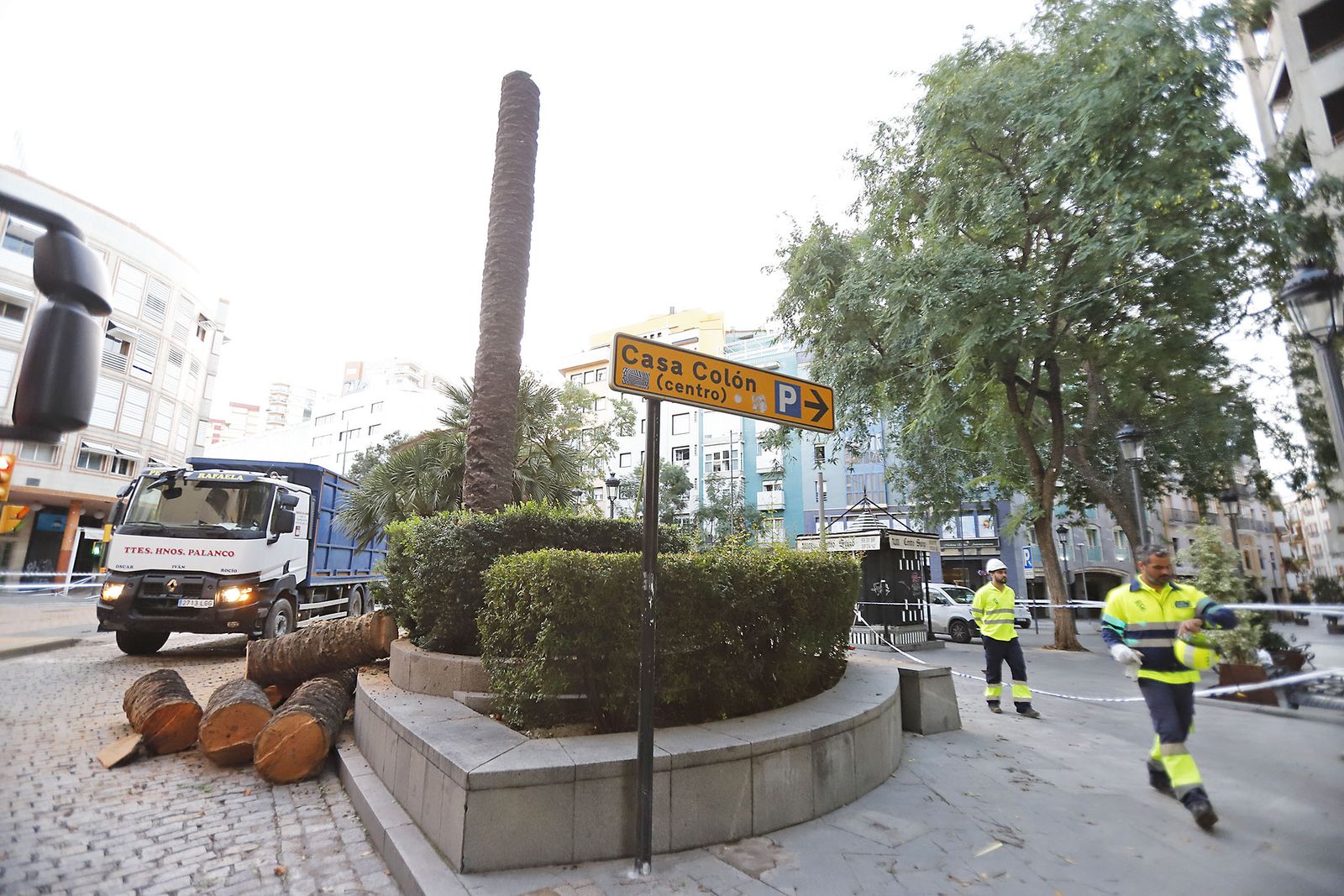 Imágenes de la tala de la emblemática Palmera de Huelva