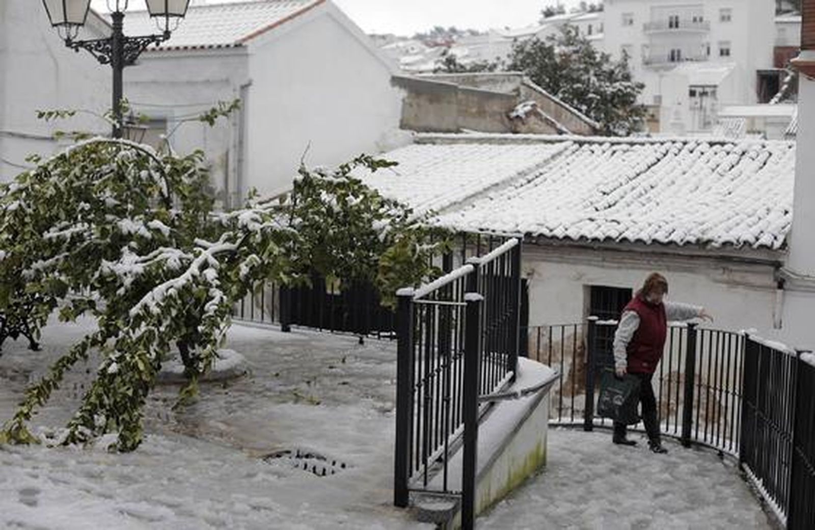 Constantina.

Foto: Antonio Pizarro