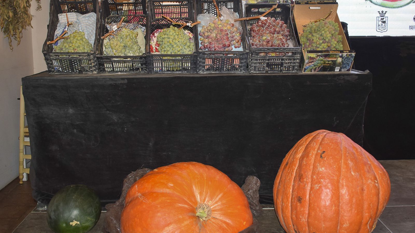 Concurso de uvas, sandías y calabazas 2023 (1)