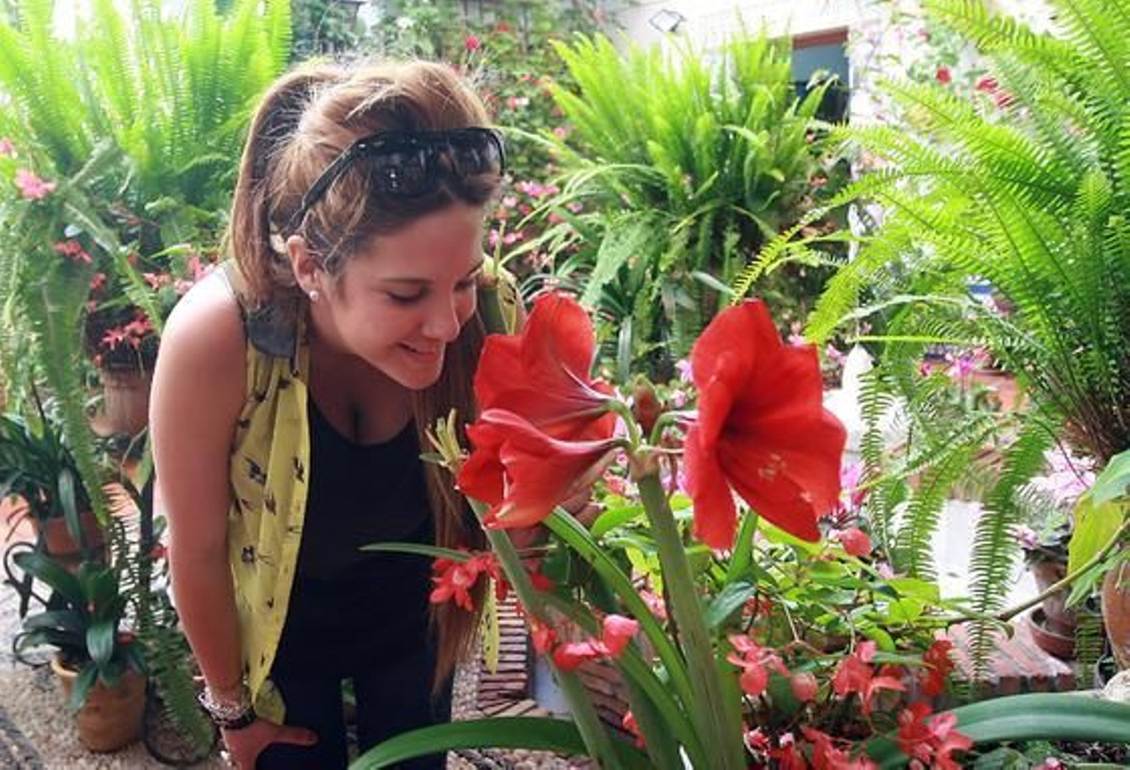 Foto: O. Barrionuevo