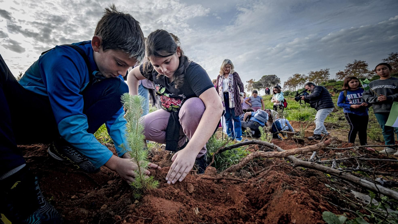 Las imágenes de escolares reforestando el pinar de Las Canteras de Puerto Real.