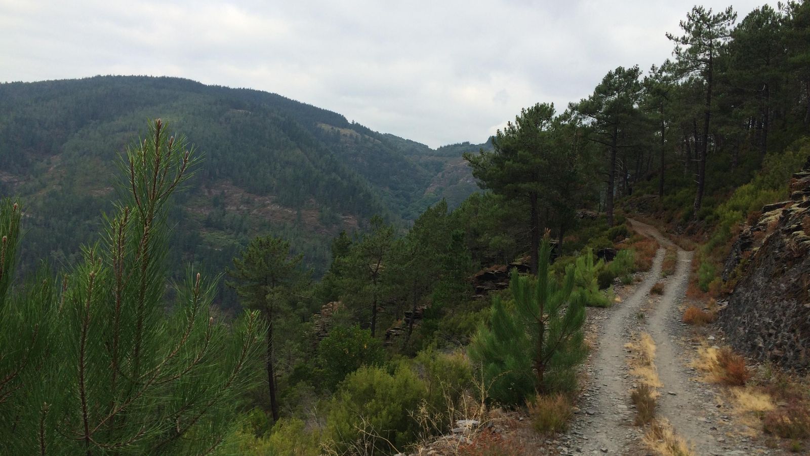 El recorrido atraviesa zonas muy agrestes.