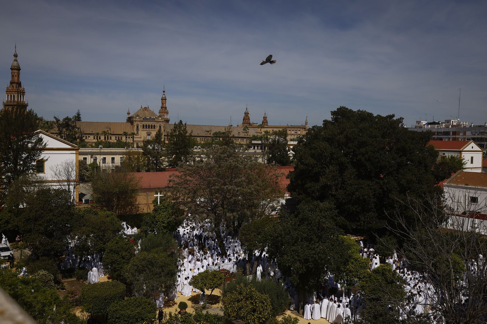 Fotos de La Paz el Domingo de Ramos en la Semana Santa de Sevilla