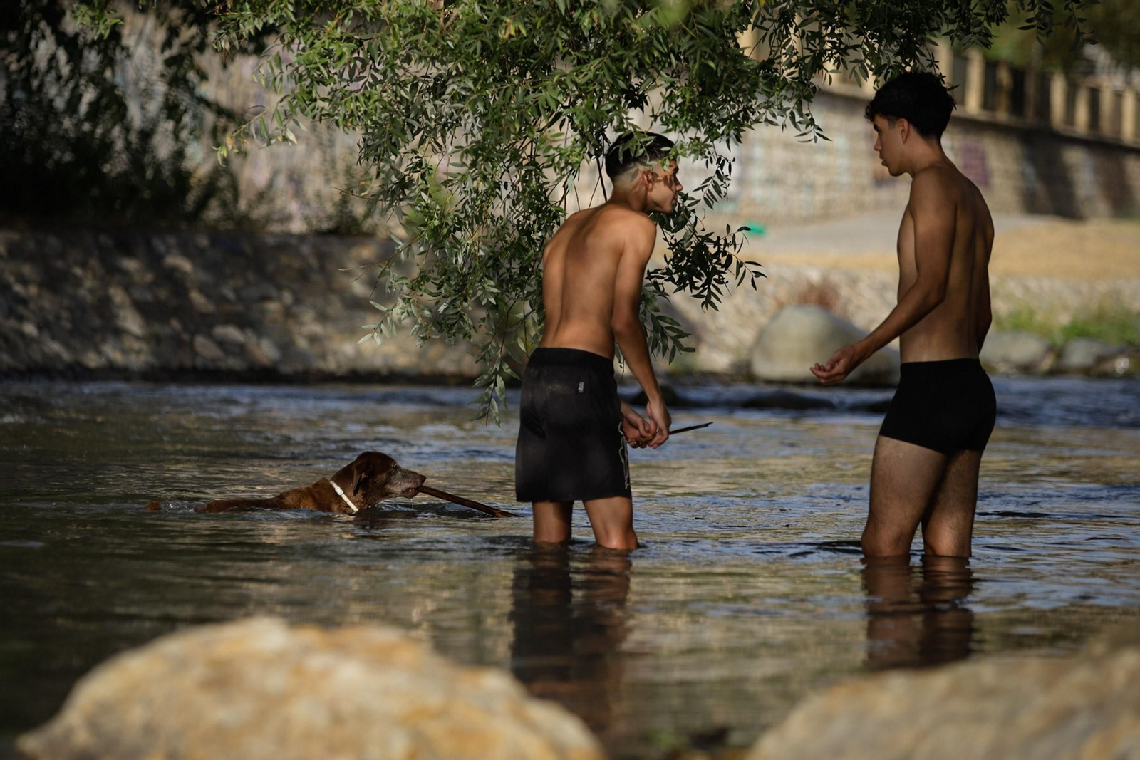 Las mejores imágenes del baño prohibido en Granada: el río Genil como refugio contra el calor