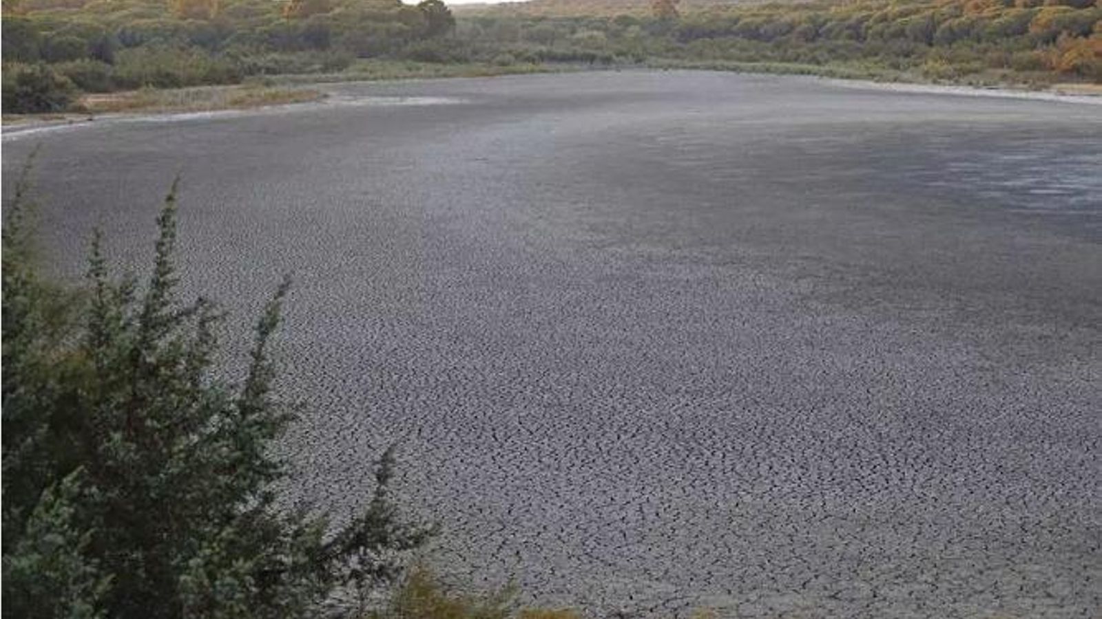 Laguna de El Portil completamente seca en el año 2022.