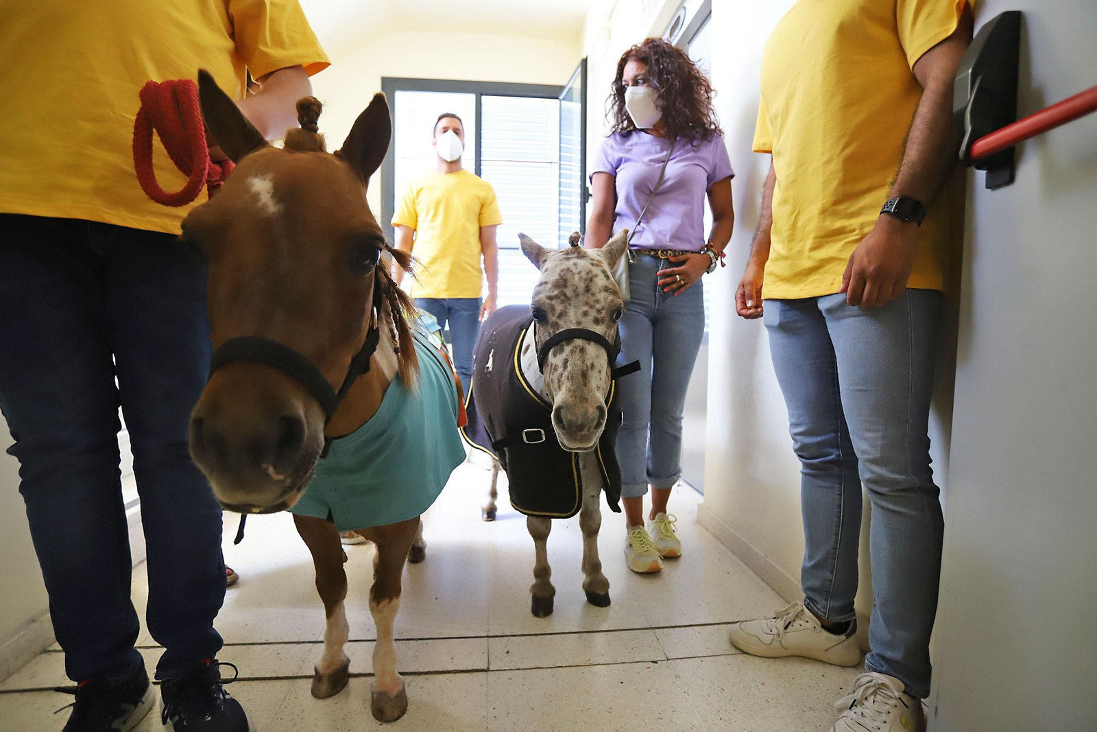 Los niños hospitalizados en el Juan Ramón Jiménez reciben la inesperada visita de unos caballos