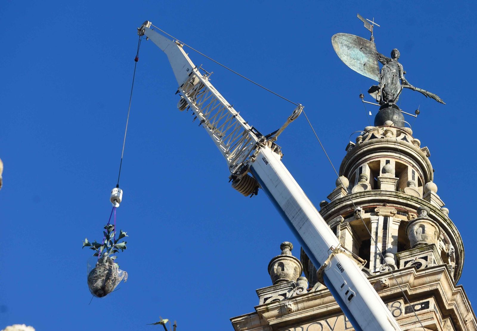 La retirada de las jarras de las azucenas de la Giralda, en imágenes