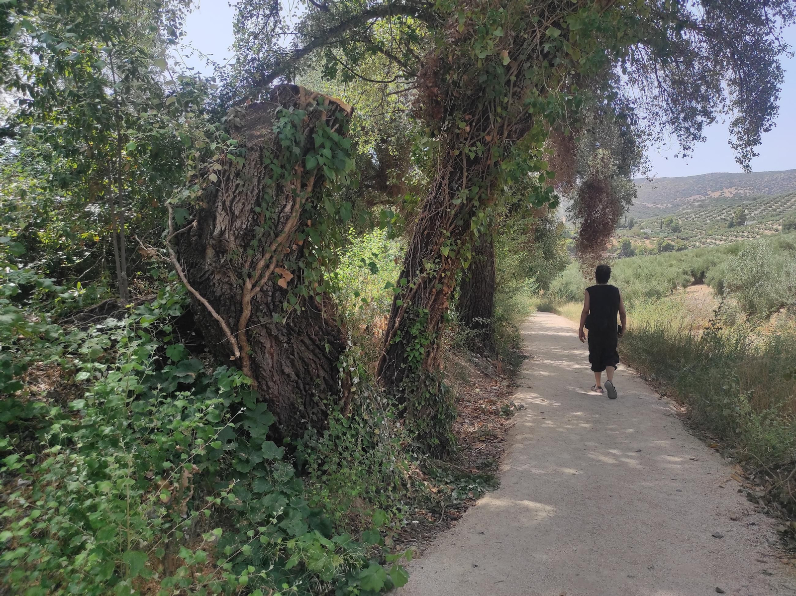 Ruta senderista y por el agua en Los Cañones de Río Frío de Jaén