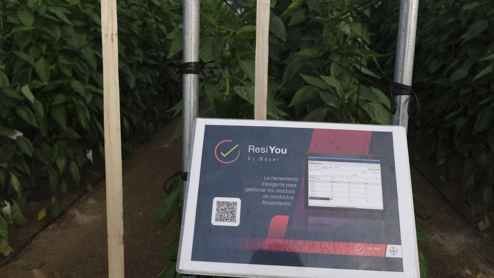 Jornada de puertas abiertas en la Estación Experimental Cajamar Las Palmerillas, en fotos