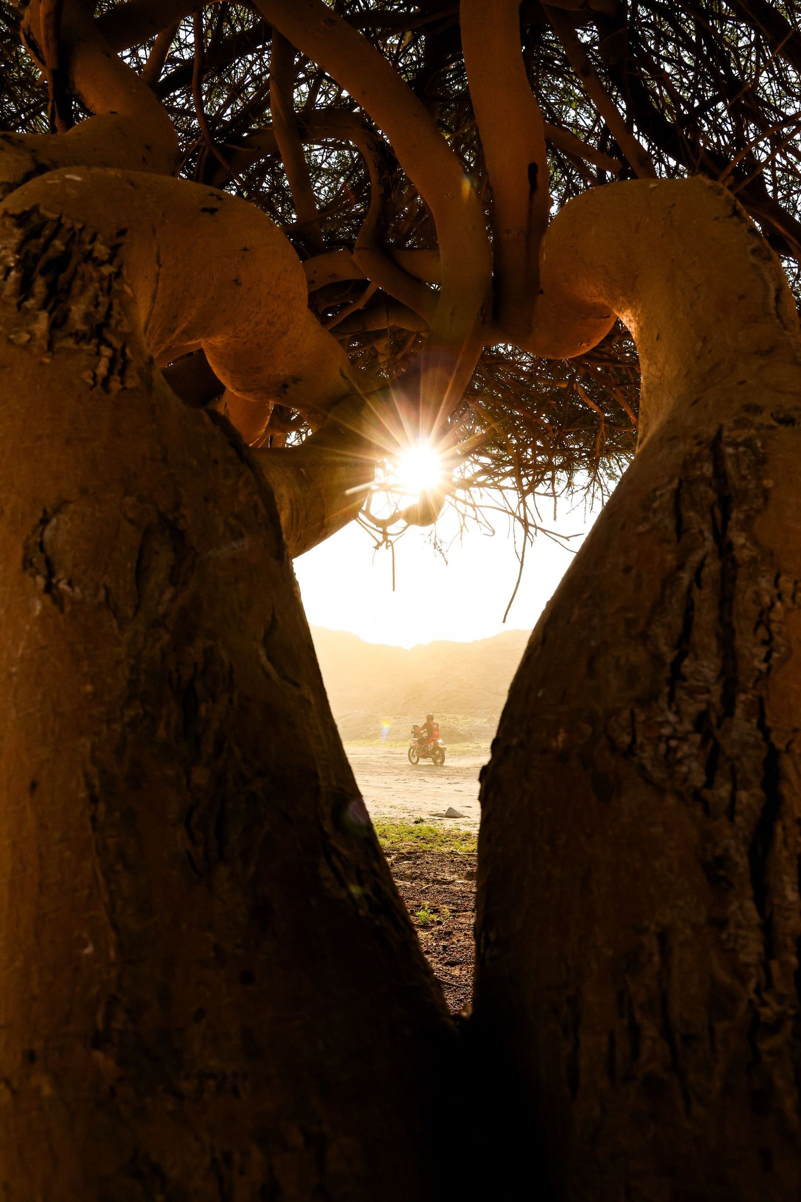 Las mejores fotos del Rally Dakar | Primera etapa