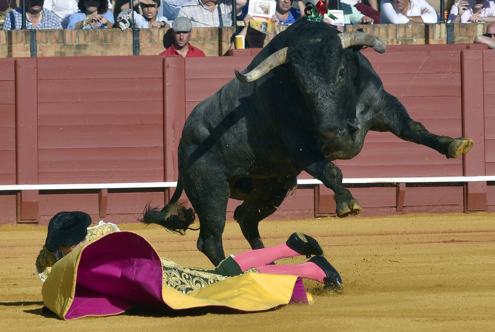 La 14ª de abono en la Real Maestranza de Sevilla, en imágenes