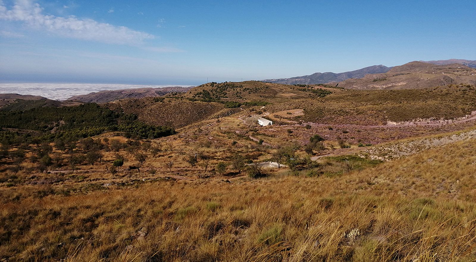 Una bodega del siglo XVIII en Enix: El Marchal Alto