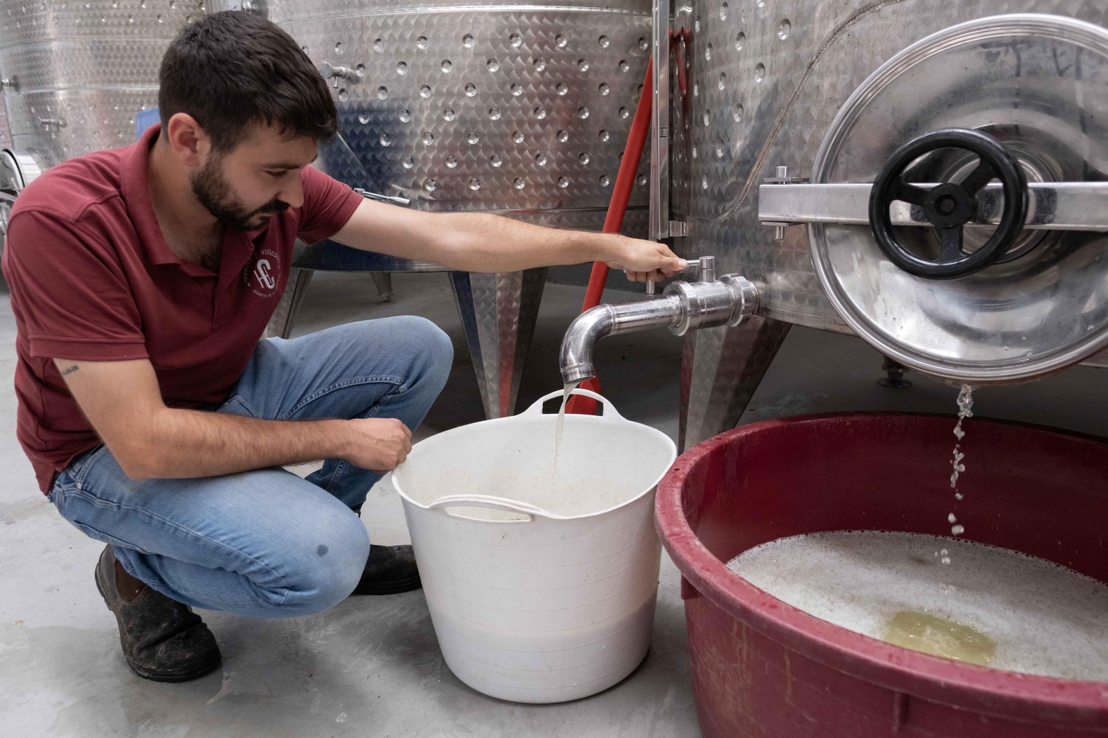 La vendimia de la Serranía, en imágenes