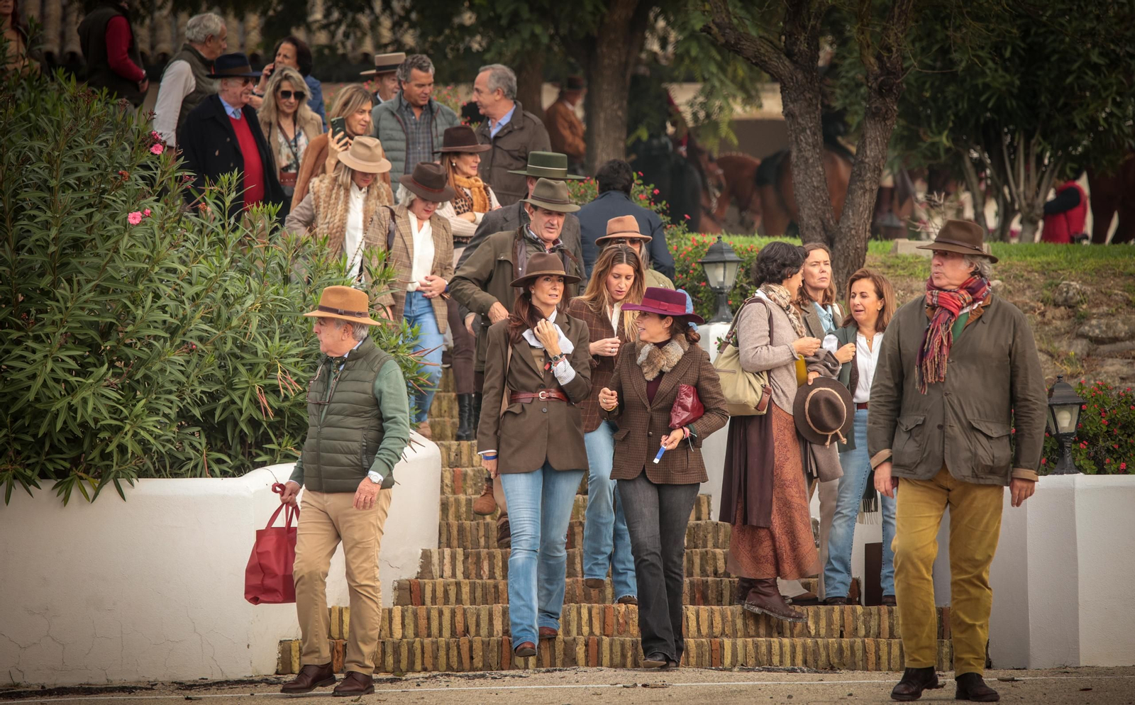 Búscate en la III Ruta Viñas de Jerez de Enganches
