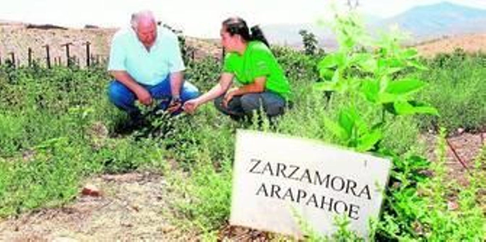 El chef almeriense Antonio Gázquez, durante el curso 'Abla Ecológica' que ponía en valor este sistema de cultivo.