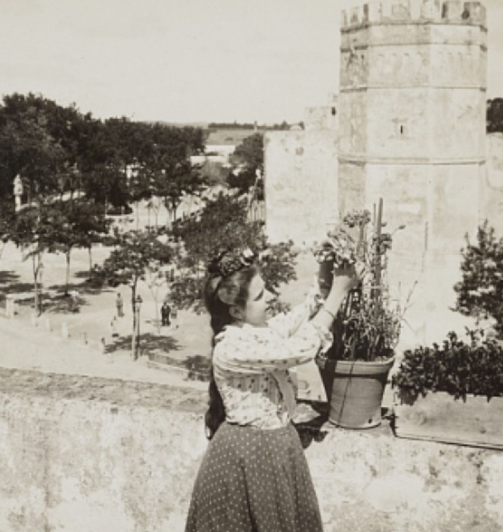 Vista (de una estereoscopía) del Alcázar desde el cuartel de San Agustín, principios siglo XX.
