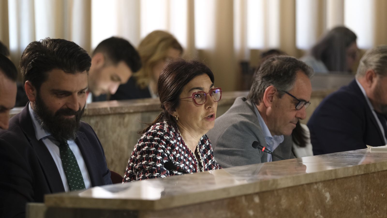 Imágenes del pleno extraordinario del Ayuntamiento de Almería