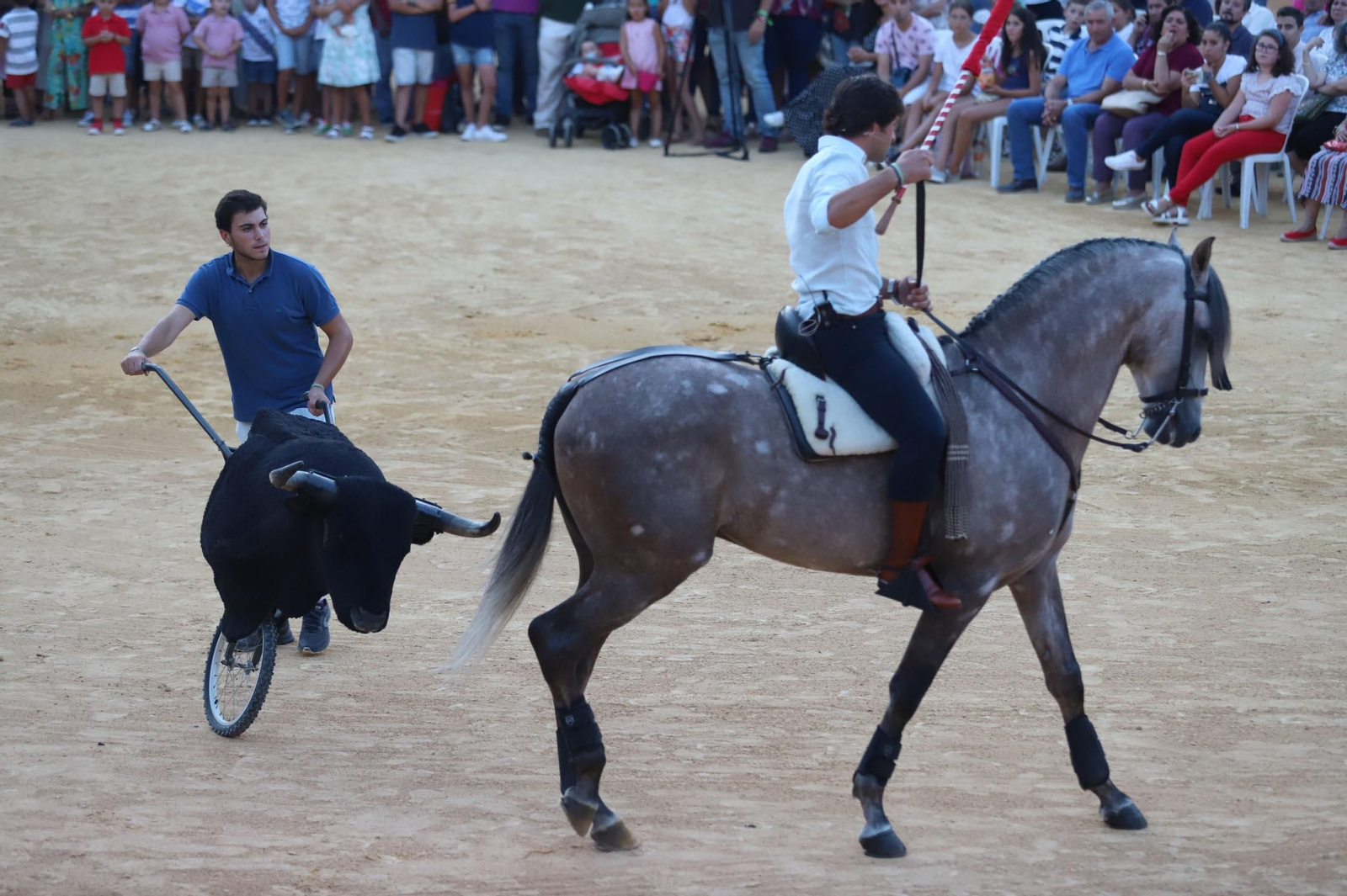Imágenes de la clase de rejoneo de Andrés Romero en la Plaza de Toros