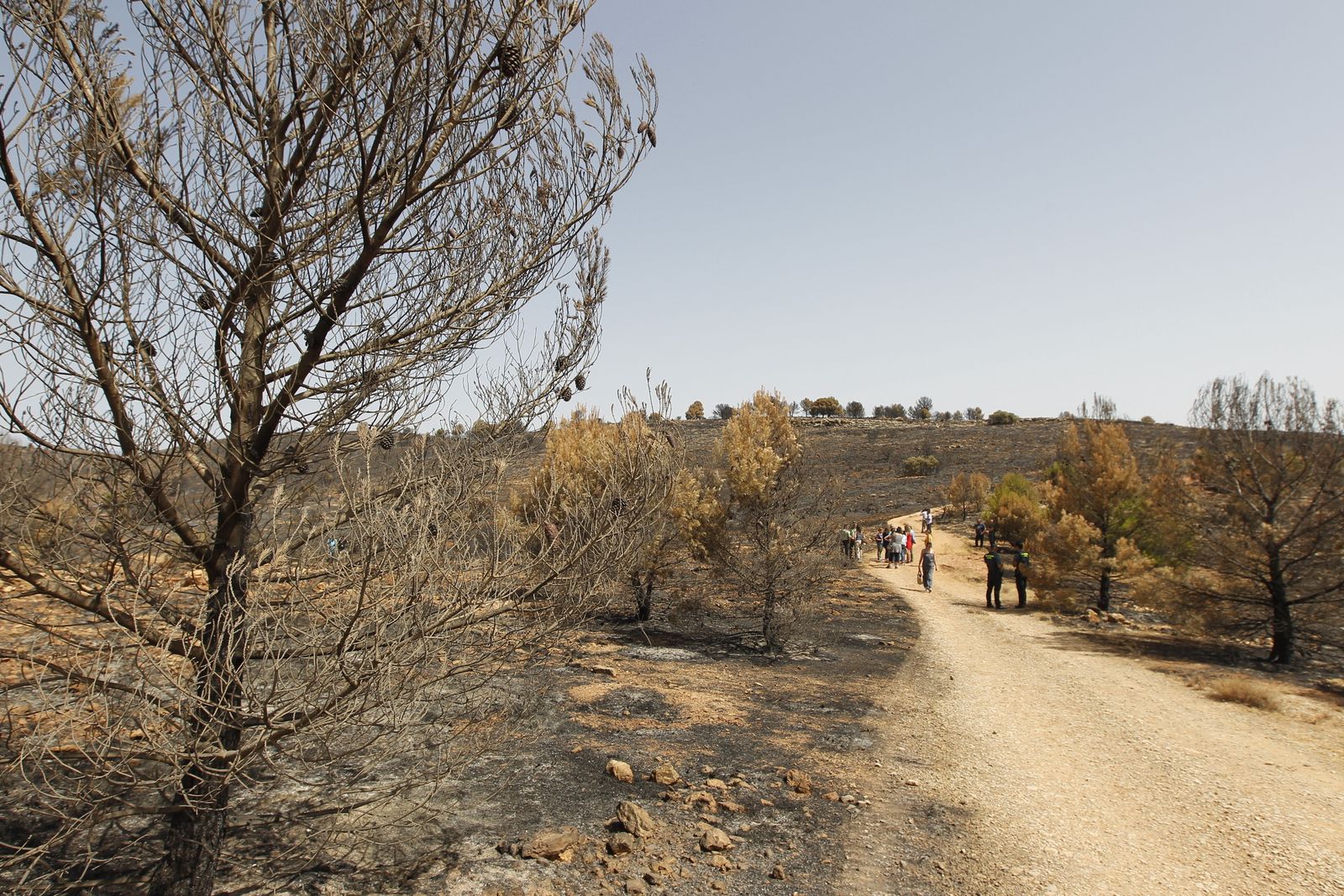 Fotogalería incendio extinguido Sierra de Gádor