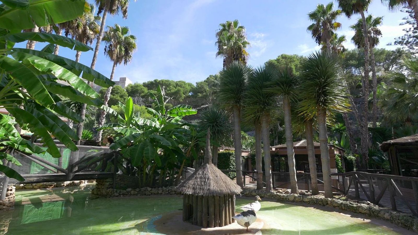 Parque Ornitológico Loro Sexi