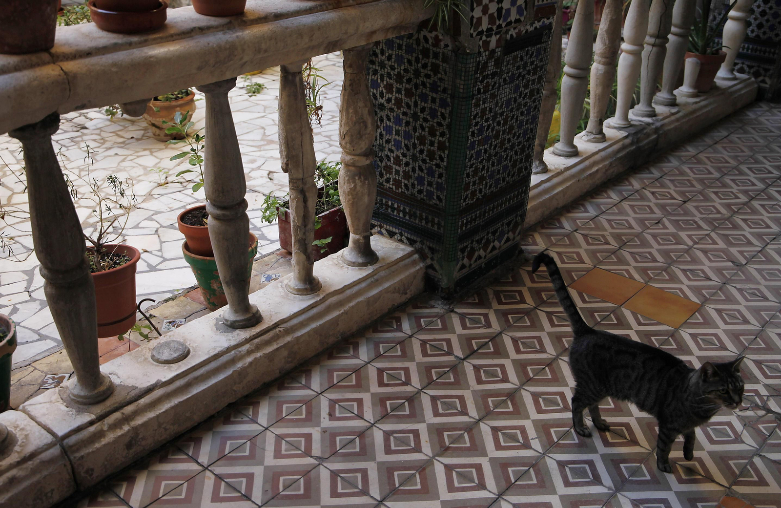 Imágenes del estado de la Casa del Pumarejo