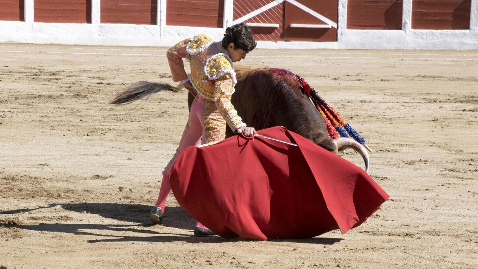 El triunfo del novillero Manuel Román en Linares, en imágenes
