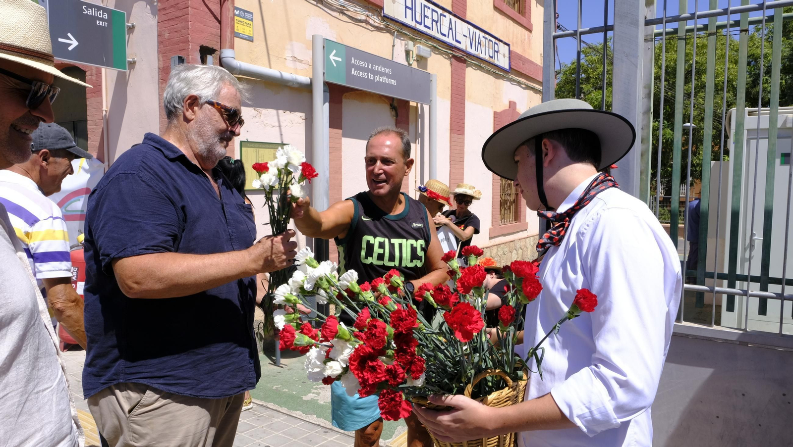 Claveles en defensa del tren en la provincia de Almería, en imágenes