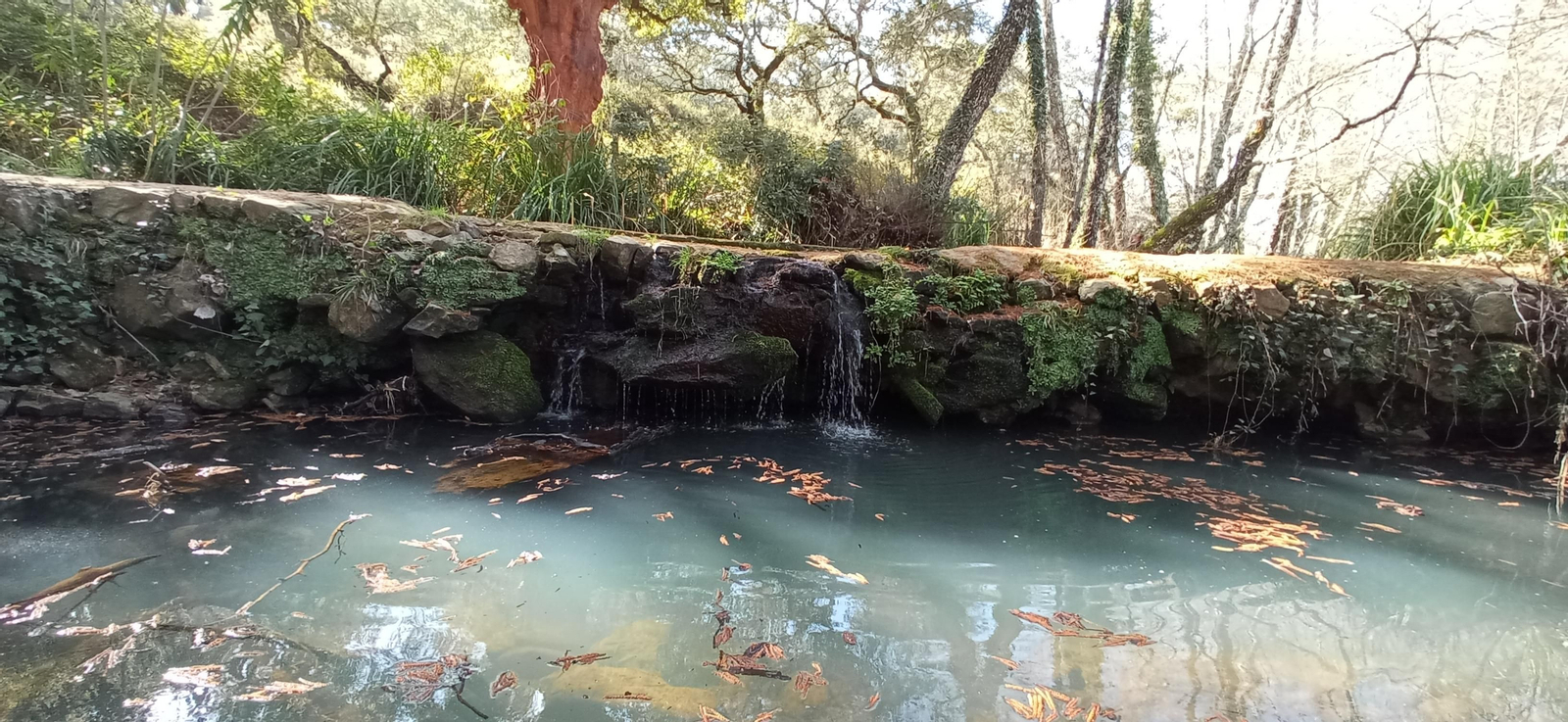 Las imágenes de la ruta de la cascada de Jollarancos y bosque de las letras