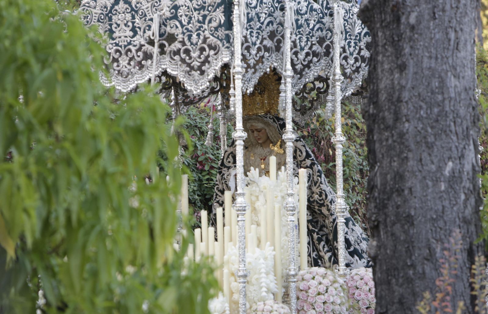 La Candelaria por los Jardines de Murillo