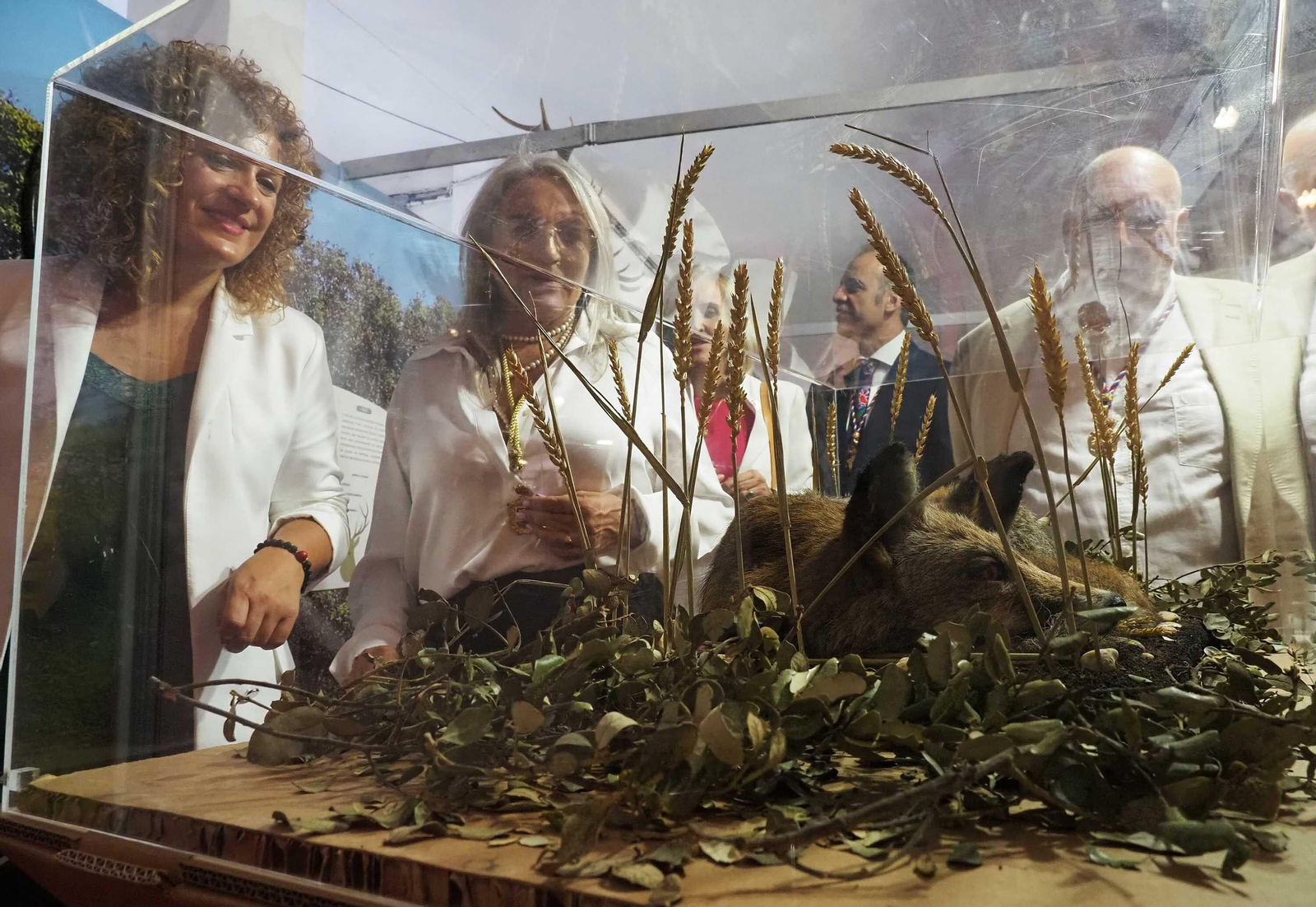 Imágenes del inicio de la Feria de Octubre en Cartaya