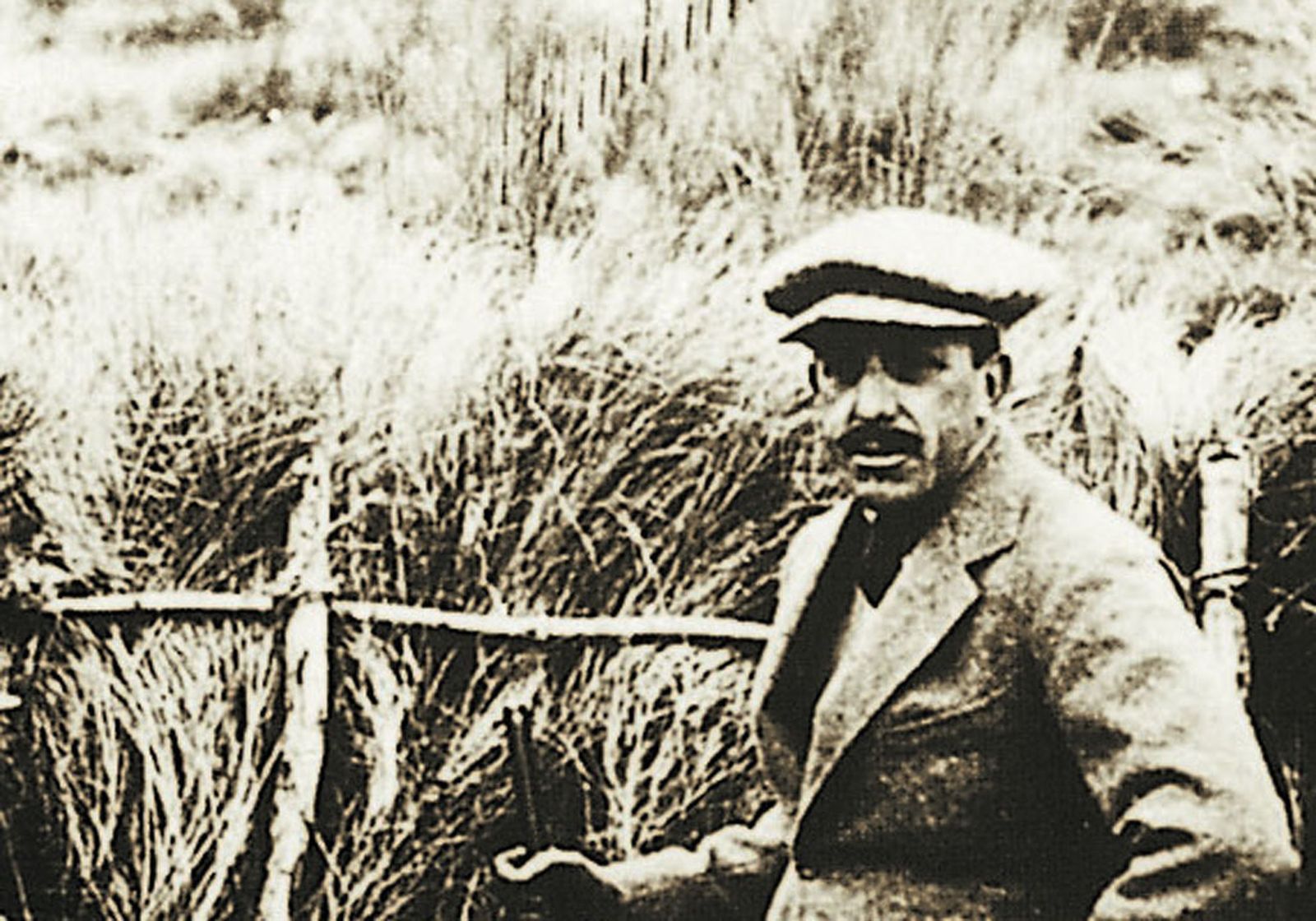 1917 hace 100 añosCacería regia en el Coto de Doñana