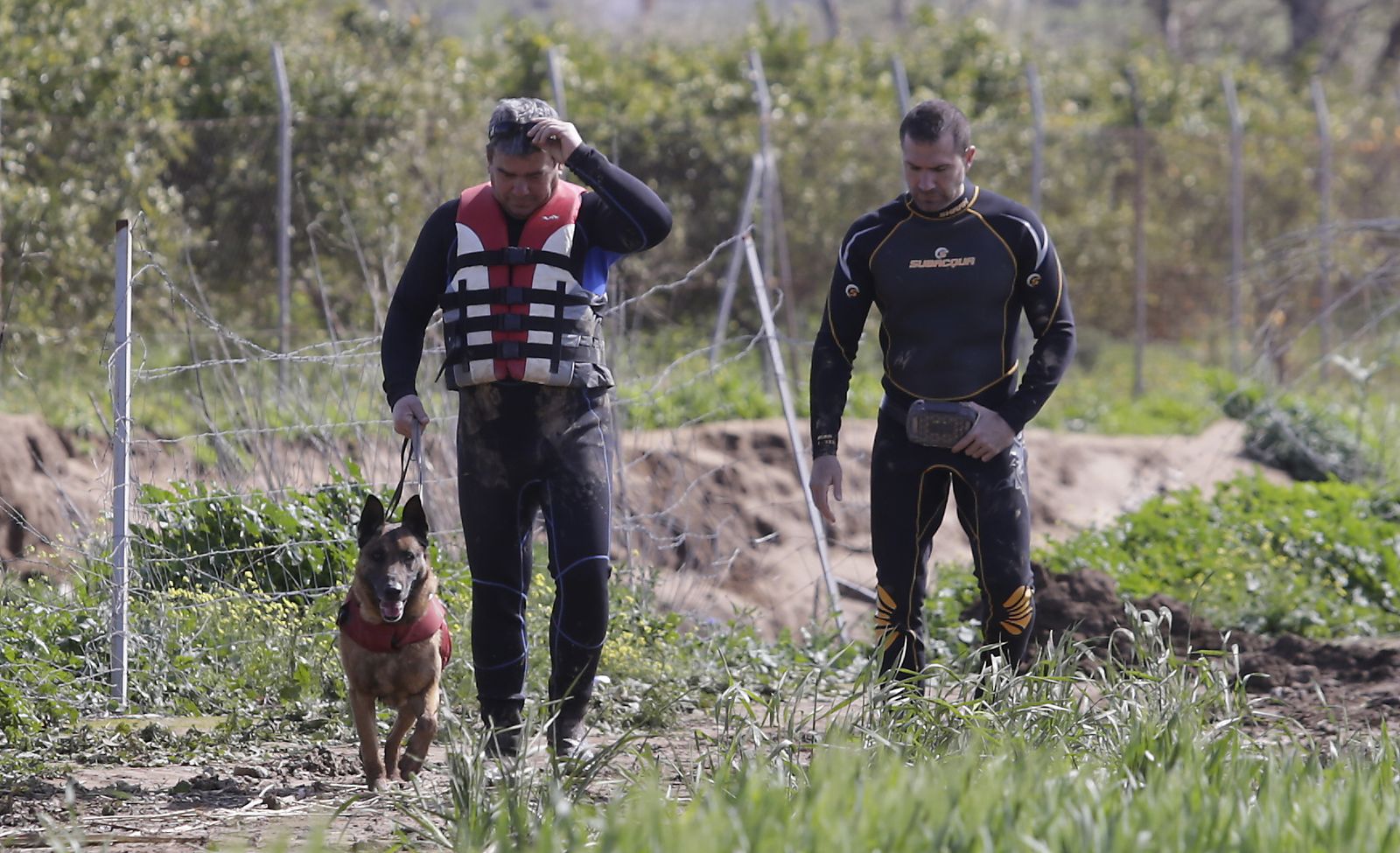 Búsqueda de un desaparecido en la provincia de Sevilla