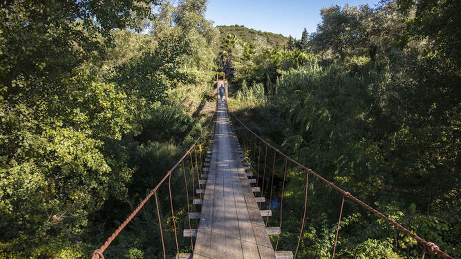 Puente de tablas en San Martín del Tesorillo.