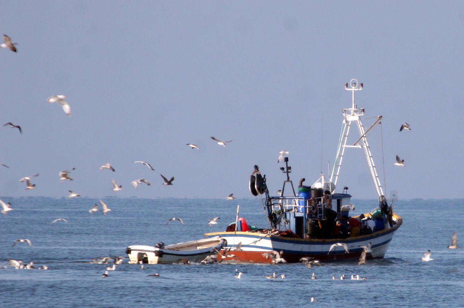 Una pequeña embarcación de arrastre en aguas de Huelva.