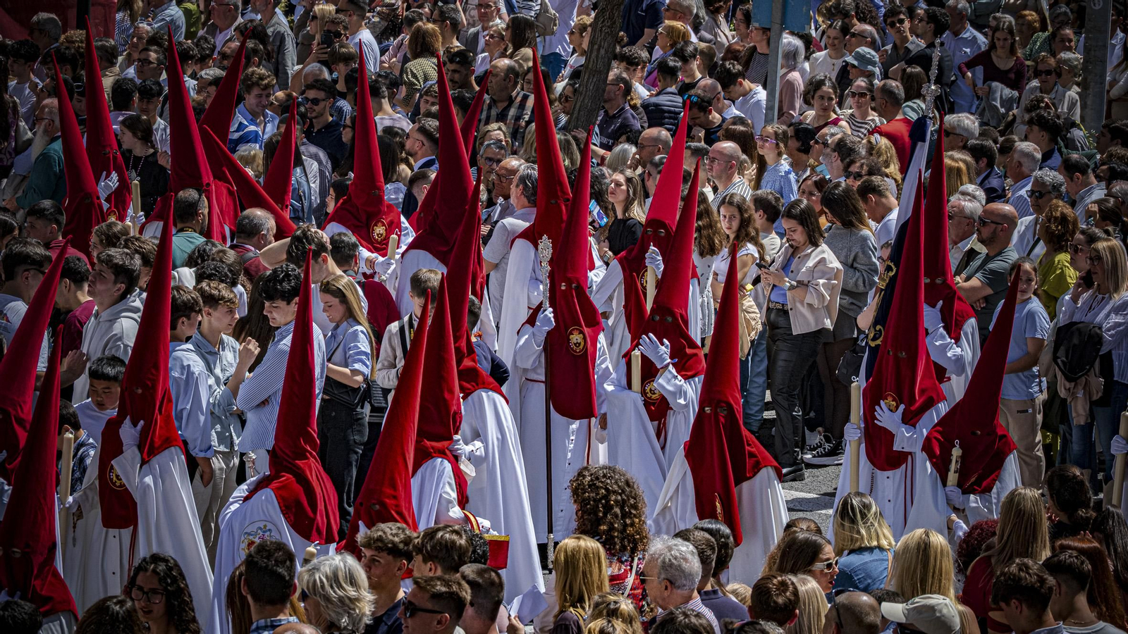 Imágenes de la salida de la Borriquita en la Semana Santa de Cádiz 2025