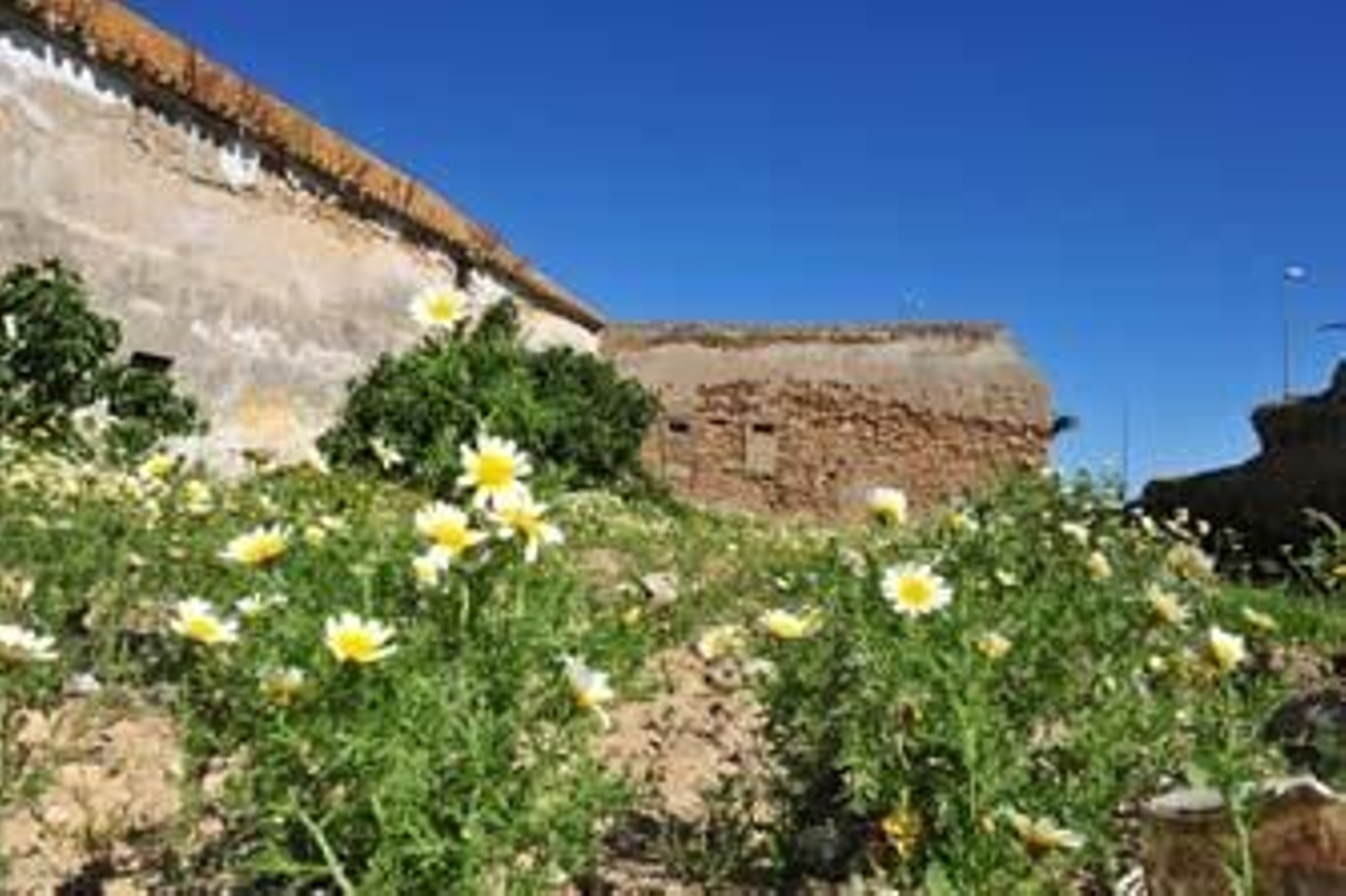 Medio Ambiente invertirá dos millones de euros en la recuperación del caño del Zaporito
